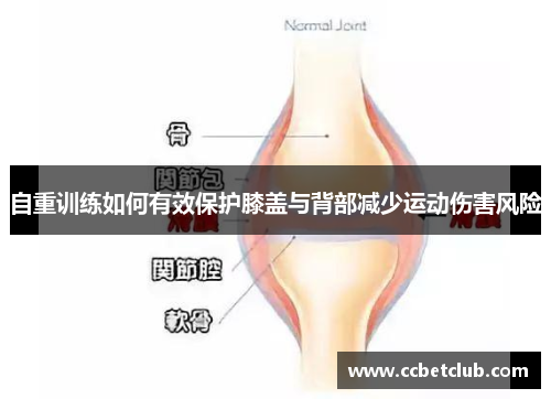 自重训练如何有效保护膝盖与背部减少运动伤害风险